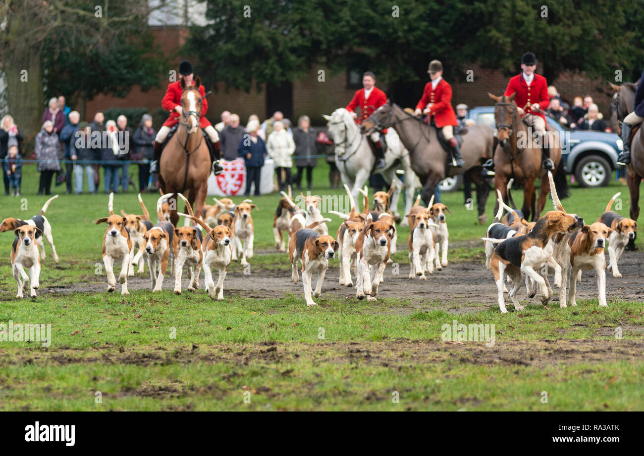 Melton Mowbray, Leicestershire, Regno Unito. Il 1° gennaio 2019. Il Cottesmore Hunt - uno di Inghilterra del premier caccia fondata nel 1696 e prende il suo nome dal villaggio di Leicestershire di Quorn, hounds kenneled tra il 1753 a1 904 inizia da Melton Mowbray Town station wagon park e i giardini. Belvoir Hunt si incontrano a giocare vicino Parco Credito: Clifford Norton/Alamy Live News Foto Stock