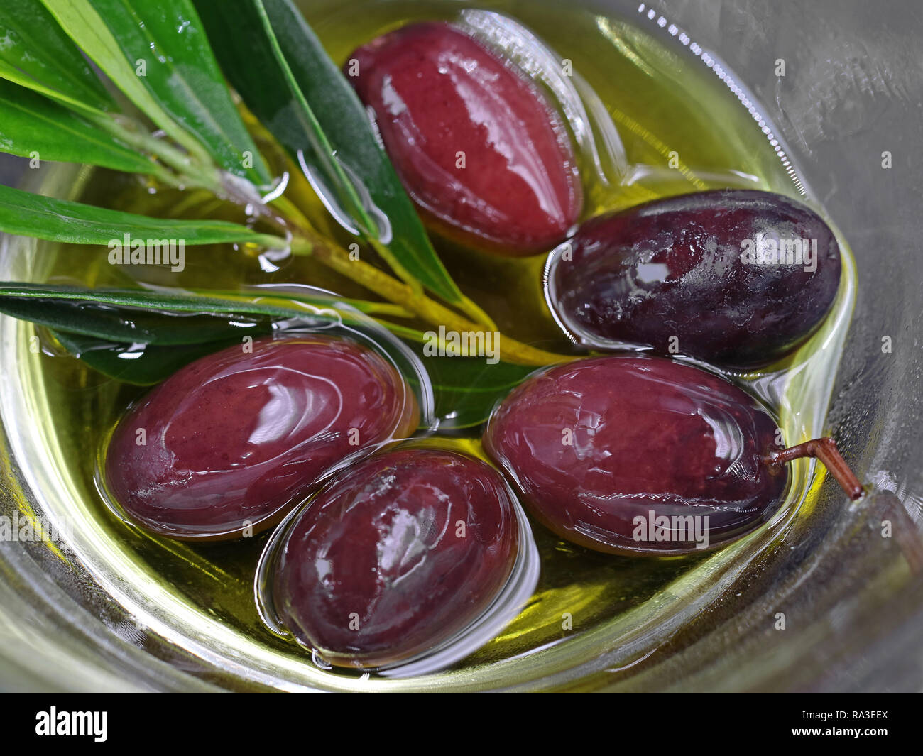 Close up, ciotola di kalamon delle olive in olio Foto Stock