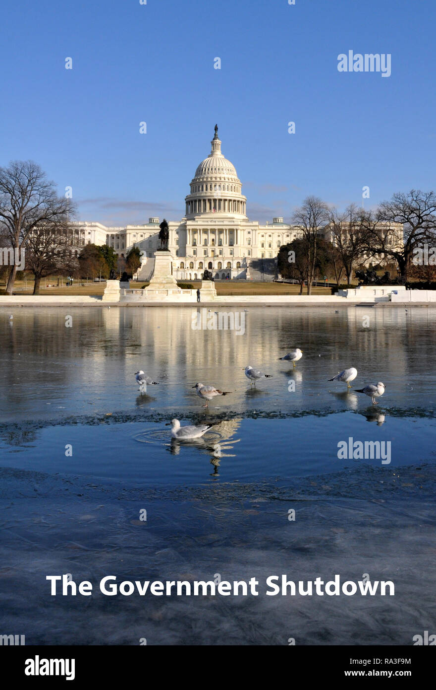 Congelati Arresto del governo satira politica che mostra il Campidoglio US con Iced stagno riflettente e gabbiani, Washington DC, inverno, 15 Gennaio 2018 Foto Stock