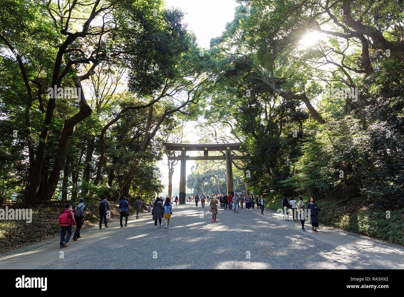 Il Tempio di Meiji, Yoyogi Park Harayuku, Tokyo Giappone (明治神宮, Meiji Jingū) - visitatori a torii gate lungo le boscose approccio al Tempio di Meiji, Foto Stock