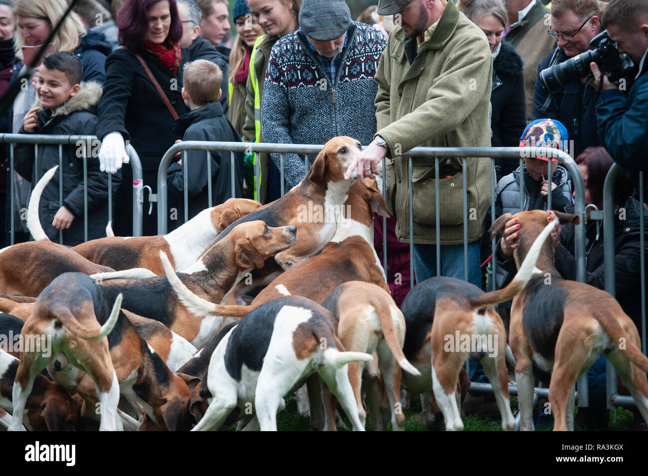 Grantham, Lincolnshire, Regno Unito. Il 26 dicembre 2018. Centinaia di spettatori e i diritti degli animali si radunano i sostenitori in Grantham per guardare la festa annuale Foto Stock