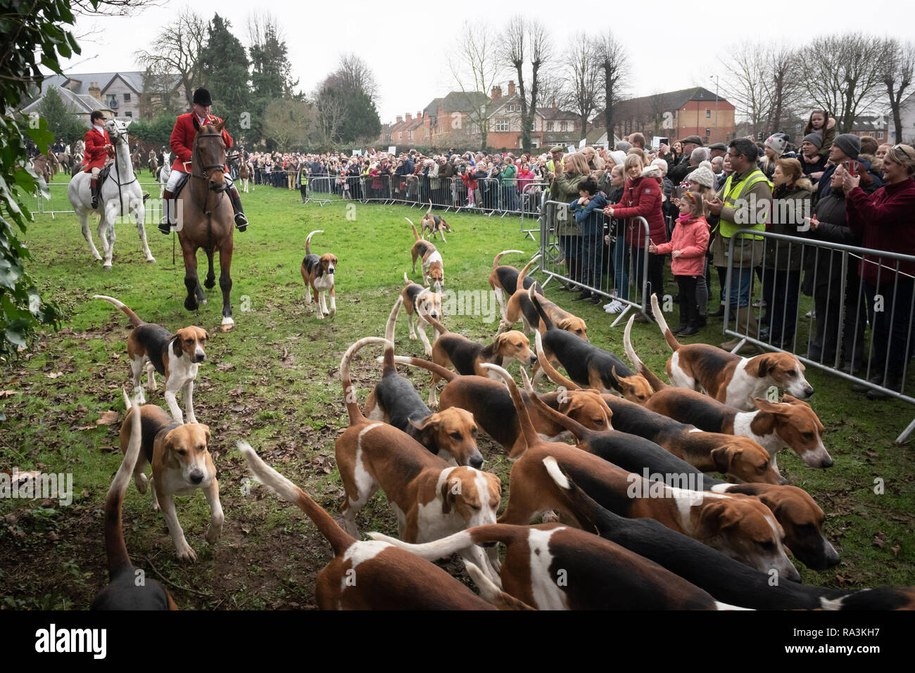 Grantham, Lincolnshire, Regno Unito. Il 26 dicembre 2018. Centinaia di spettatori e i diritti degli animali si radunano i sostenitori in Grantham per guardare la festa annuale Foto Stock