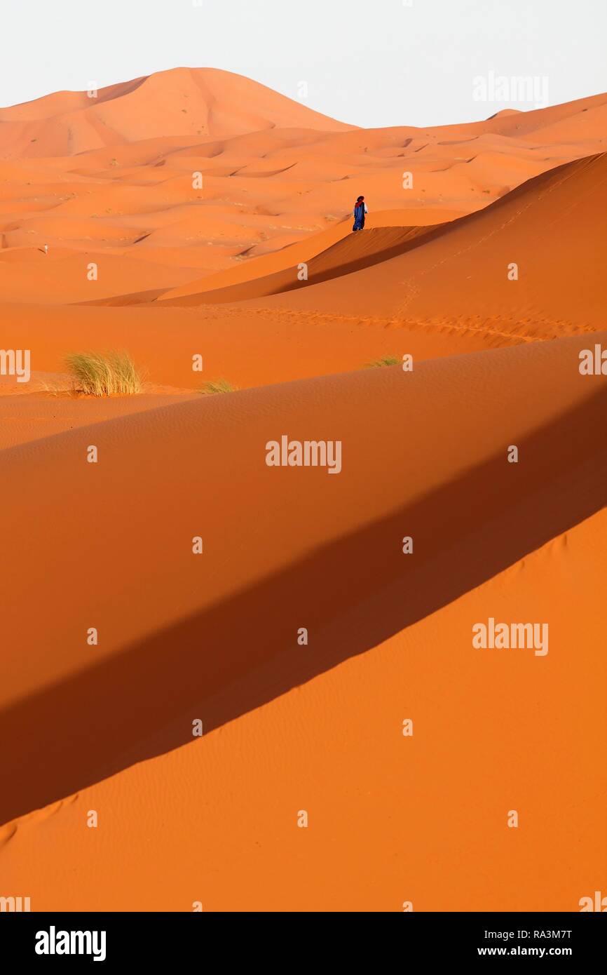 Le dune di sabbia, Erg Chebbi, Drâa-Tafilalet provincia, Marocco Foto Stock