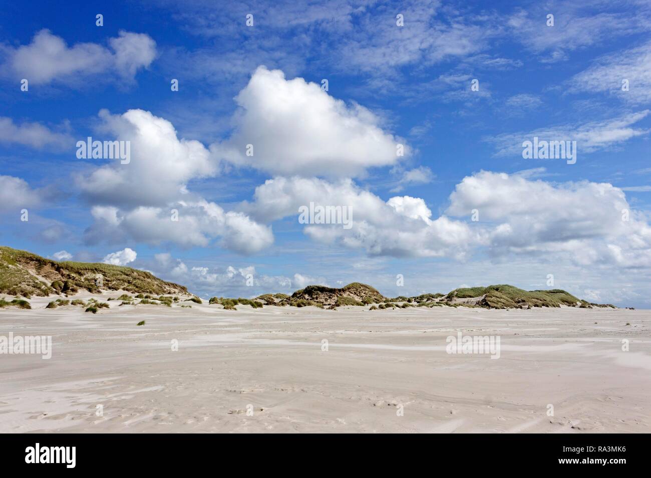 Dune con cielo nuvoloso, Kniepsand, Amrum, Frisia settentrionale, Schleswig-Holstein, Germania Foto Stock
