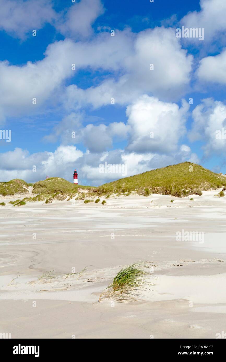 Dune con il faro e il cielo nuvoloso, Kniepsand, Amrum, Frisia settentrionale, Schleswig-Holstein, Germania Foto Stock