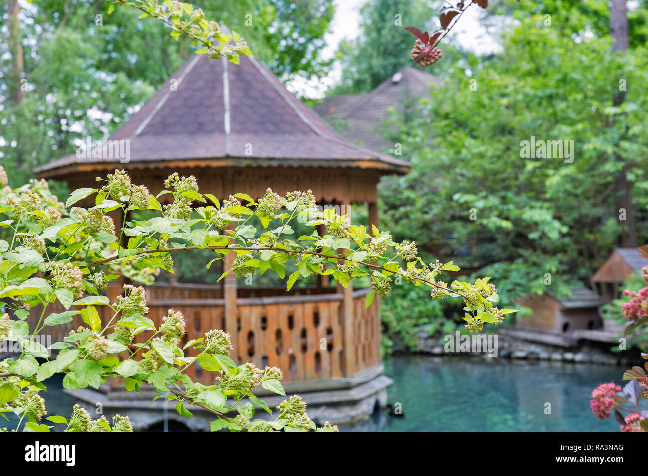 Estate colorato paesaggio con laghetto in giardino, gazebo in legno sull'isola e anatra selvatica. La messa a fuoco in primo piano. Foto Stock