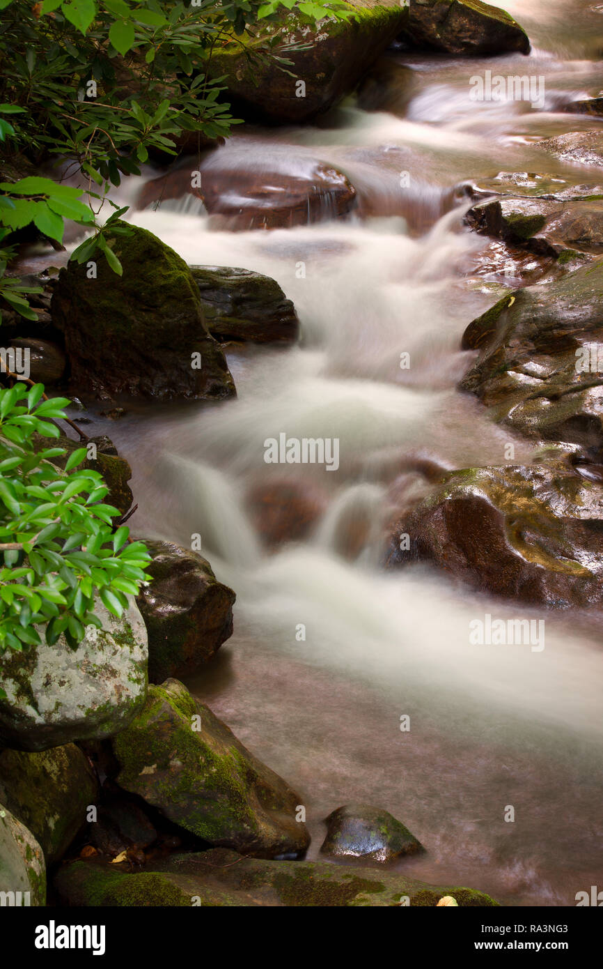 Cascate di acqua scivolano delicatamente sulle rocce nel ruscello di montagna Foto Stock