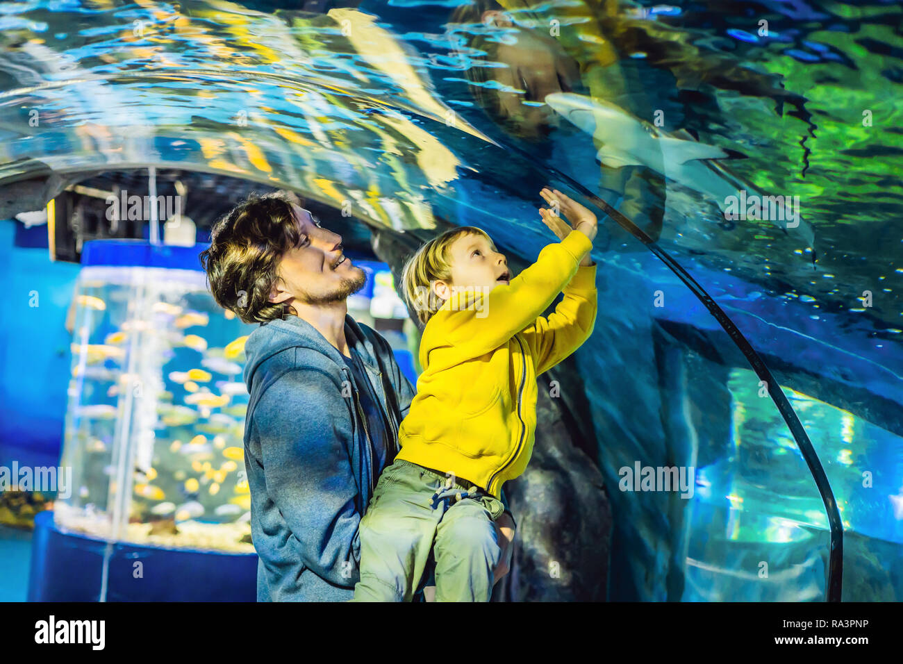Padre e figlio guardare dei pesci in acquario in oceanarium Foto Stock