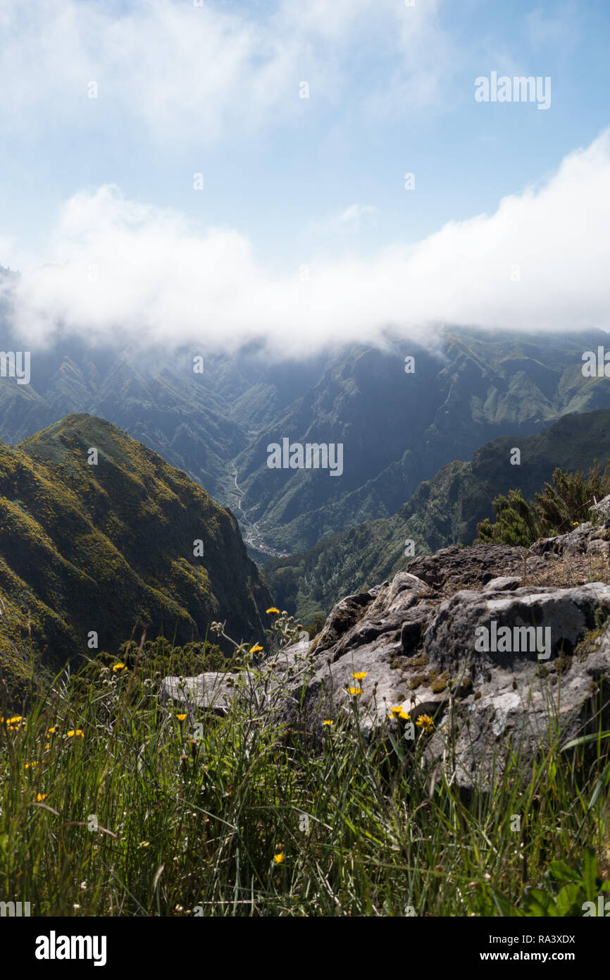 Erba e fiori di campo su di un colle roccioso con nebbia Foto Stock