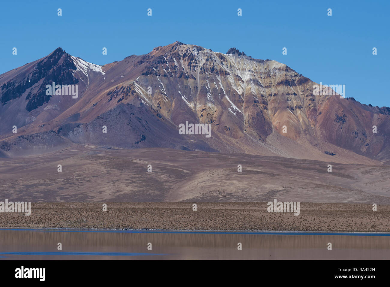 Cime innevate e aspro paesaggio dell'altiplano, intorno a 4000 metri sopra il livello del mare, in Lauca Parco Nazionale del Cile. Foto Stock