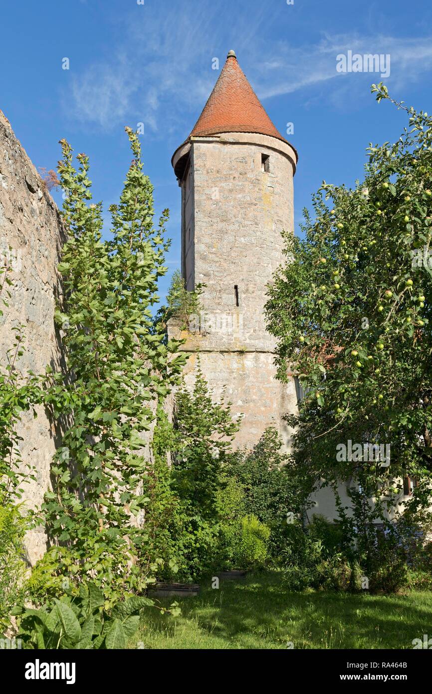 Parete della città con Salwartenturm, Dinkelsbühl, Media Franconia, Baviera, Germania Foto Stock