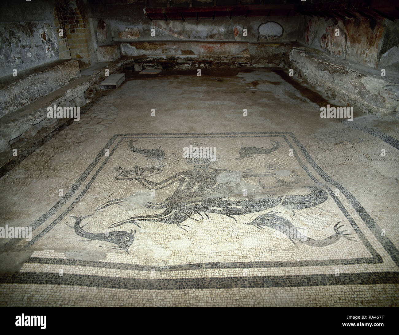 L'Italia. Ercolano. Thermae centrale (ca. inizio del I secolo D.C.). Gli uomini di bagni. Il tepidarium ha un soffitto a volta decorati con stucchi. Essa è stata riscaldata per mezzo di aria calda sotto il pavimento e in condotti nella parete. Il pavimento presenta un mosaico raffigurante un Tritone circondato dai delfini. Foto Stock