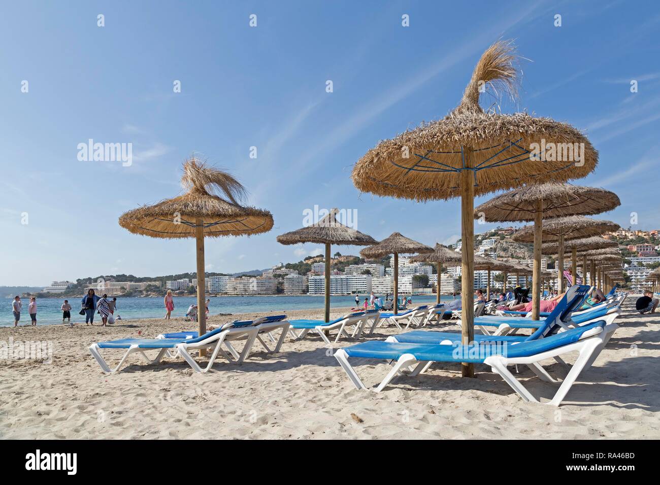 Spiaggia con sedie a sdraio e ombrelloni, Santa Ponca, Maiorca, SPAGNA Foto Stock