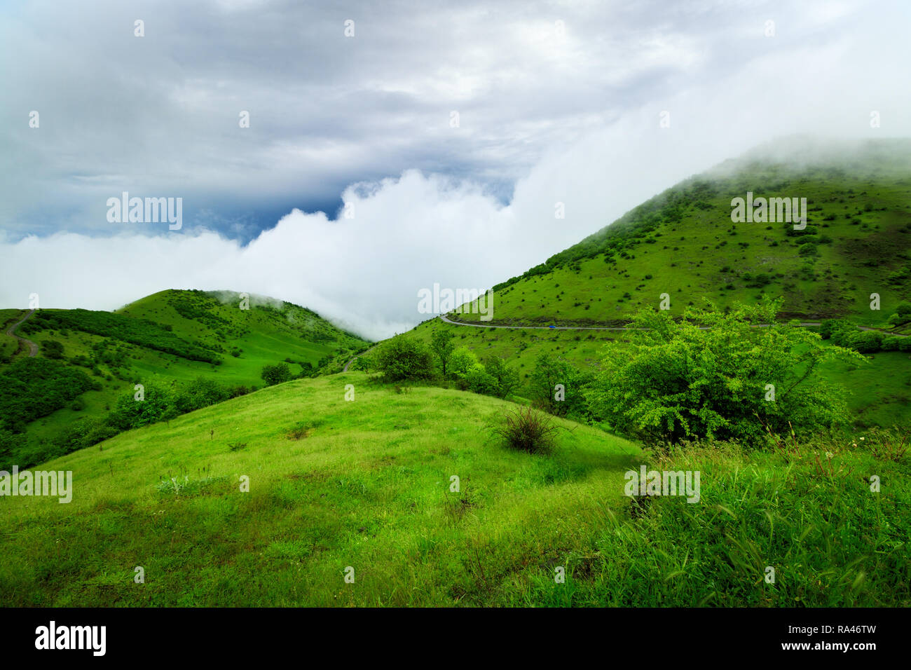 Una magnifica foresta con spettacolari nebbia su di esso Foto Stock