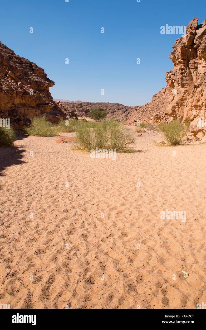 Canyon Colorato a Nuweiba Dahab Egitto . Canyon Colorato è una formazione rocciosa sulla penisola del Sinai. Si tratta di un labirinto di rocce, alcuni di loro hanno circa 40 Foto Stock