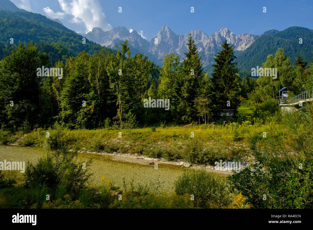 Fiume Wurzener salva, Dolinka risparmiare sulle montagne del Triglav, Alpi Giulie vicino a Kranjska Gora, superiore dell'Ucraina, della Slovenia Foto Stock