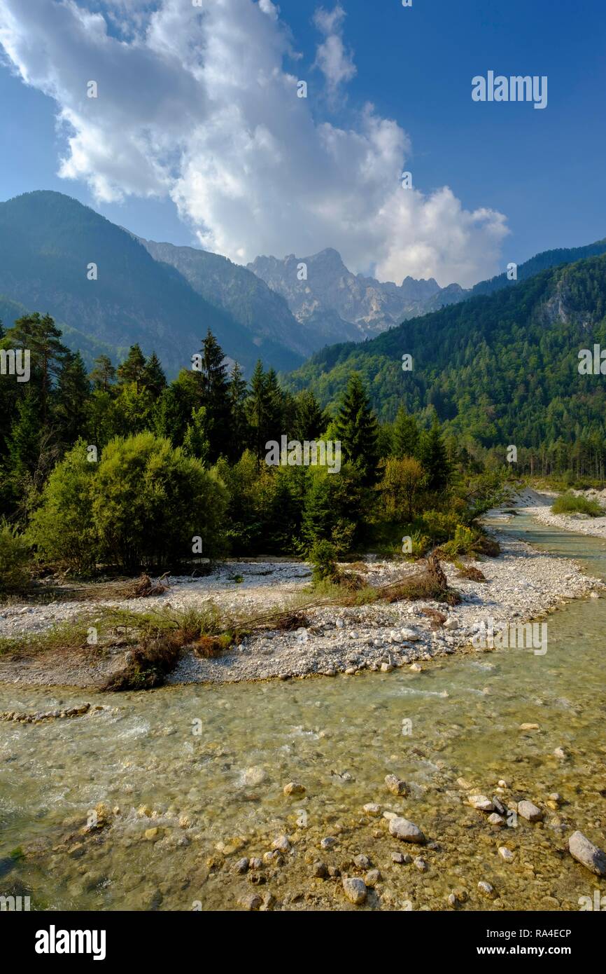 Fiume Wurzener salva, Dolinka risparmiare con le montagne del Triglav, Alpi Giulie vicino a Kranjska Gora, superiore dell'Ucraina, della Slovenia Foto Stock