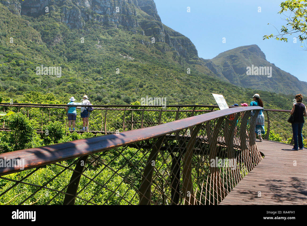 Visitatori sul boomslang pontile in Kirstenbosch National Botanical Garden in Città del Capo Western Cape Province, Sud Africa. Foto Stock