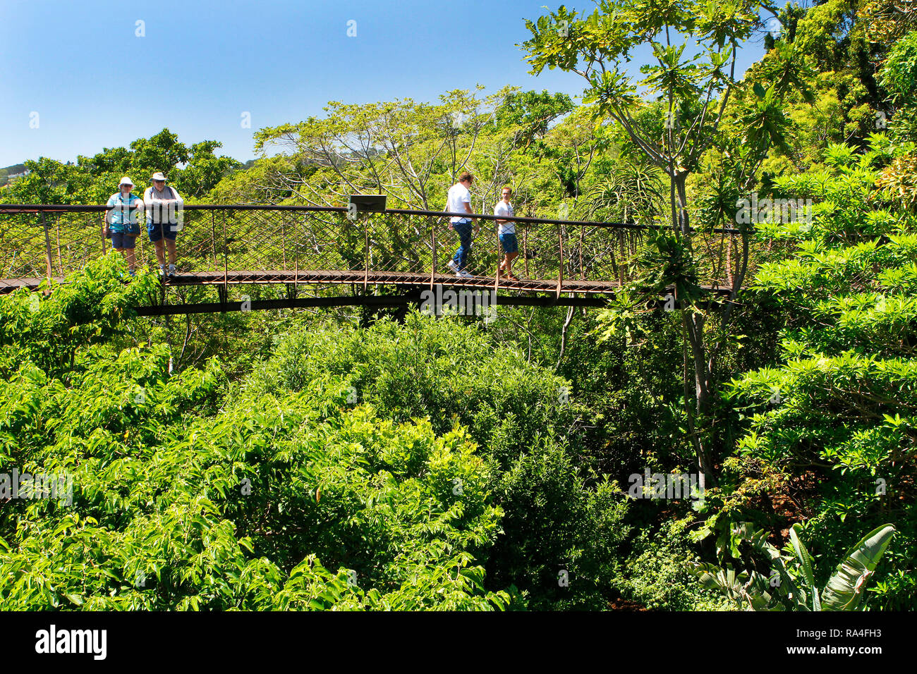 I visitatori a piedi sul pontile di Kirstenbosch National Botanical Garden in Città del Capo Western Cape Province, Sud Africa. Foto Stock