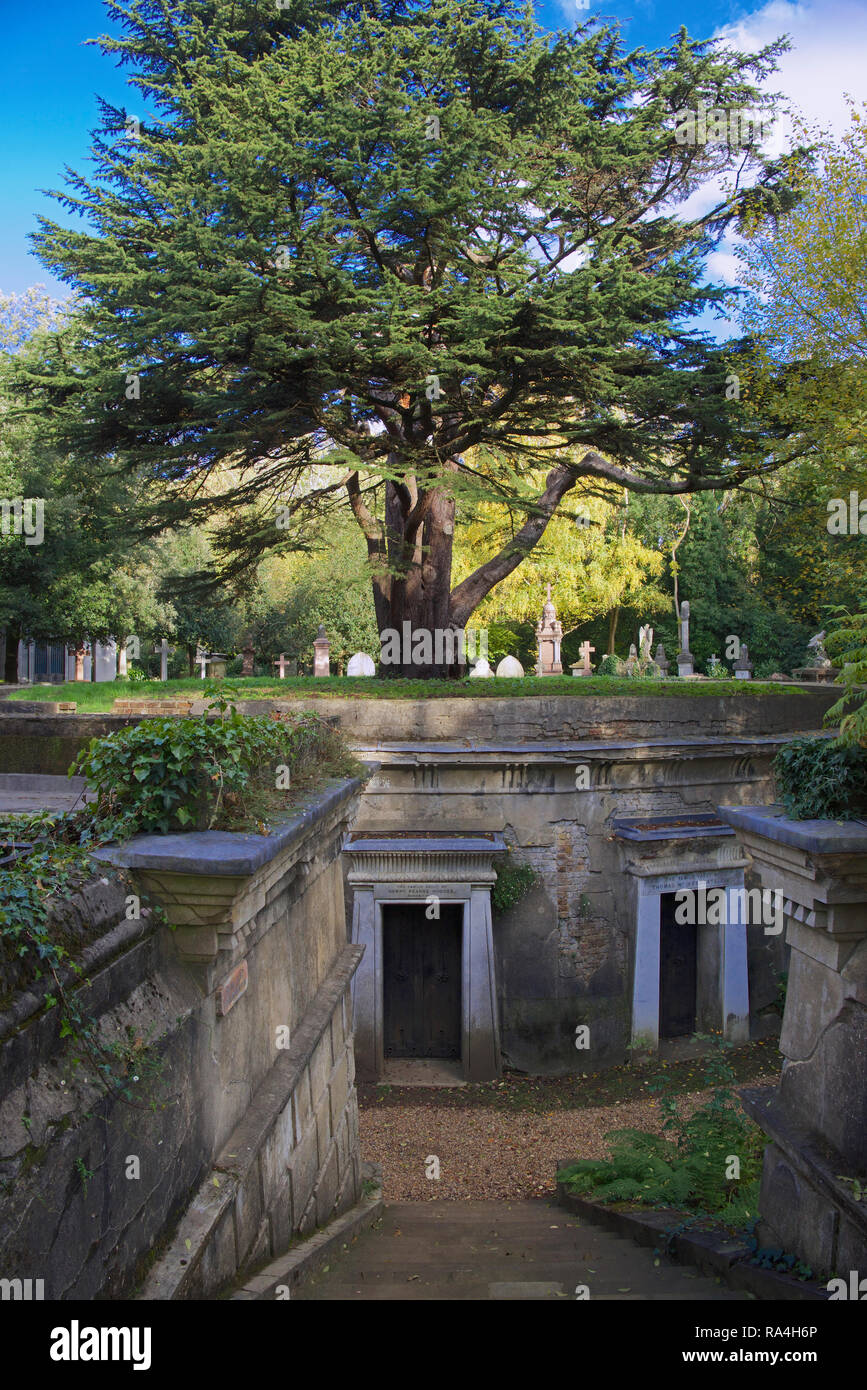 Cerchio del Libano ad ovest del cimitero di Highgate Londra Inghilterra Foto Stock