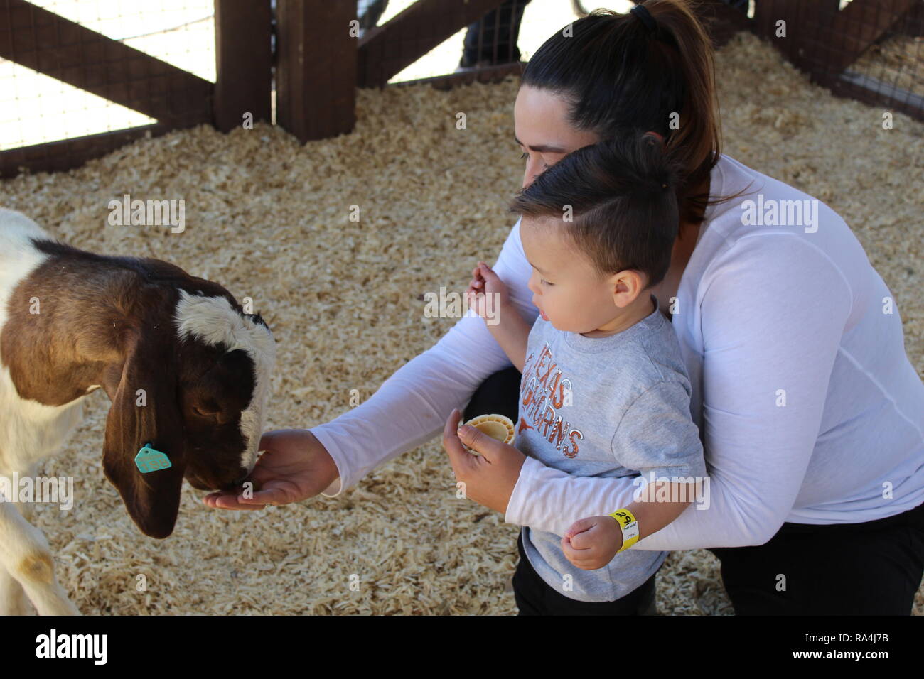 6 Ottobre, 2018, madre e figlio alimentando le capre al McCalls Pumpkin Patch, Moriarty, NM, Stati Uniti d'America: Credito: Bianca Martinez Foto Stock