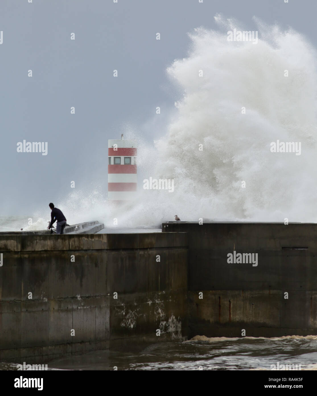 Un enorme mare tempestoso wave su nuovo molo e il faro alla foce del fiume Douro vedendo un audace indistinto ciclista Foto Stock