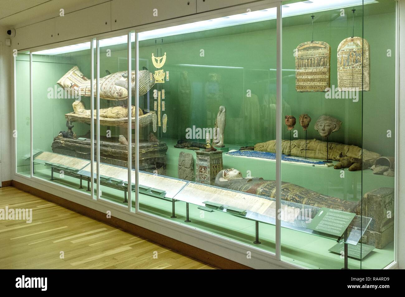 Dania - regione Zelanda - Kopenhaga - muzeum sztuki starozytnej Gliptoteka - sala wystawowa poswiecona eksponatom ze starozytnego Egiptu - mumie ho sarkofagi egipskie Danimarca - Zelanda regione - Copenhag Foto Stock