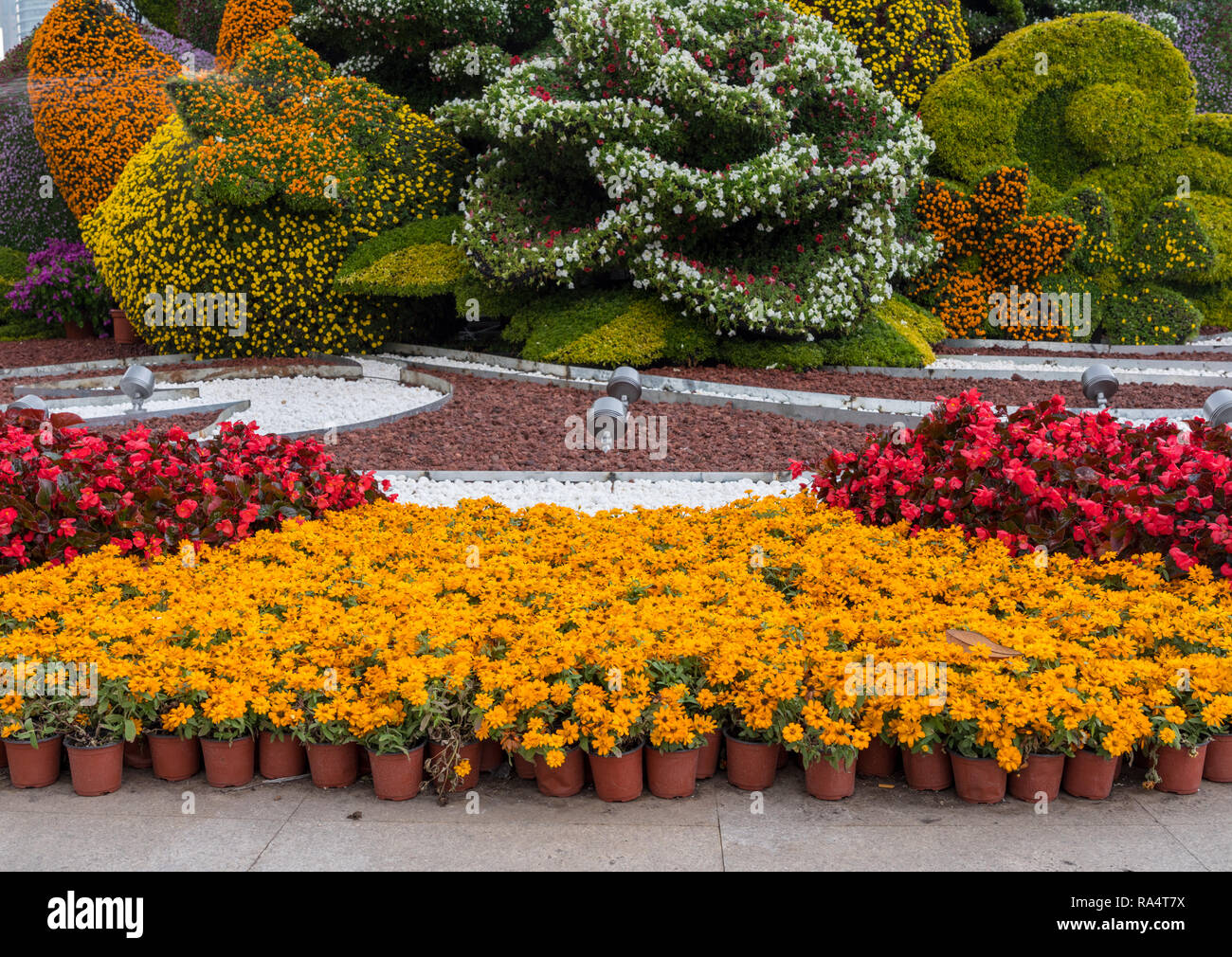 Display floreale per la Giornata nazionale di Shanghai Foto Stock