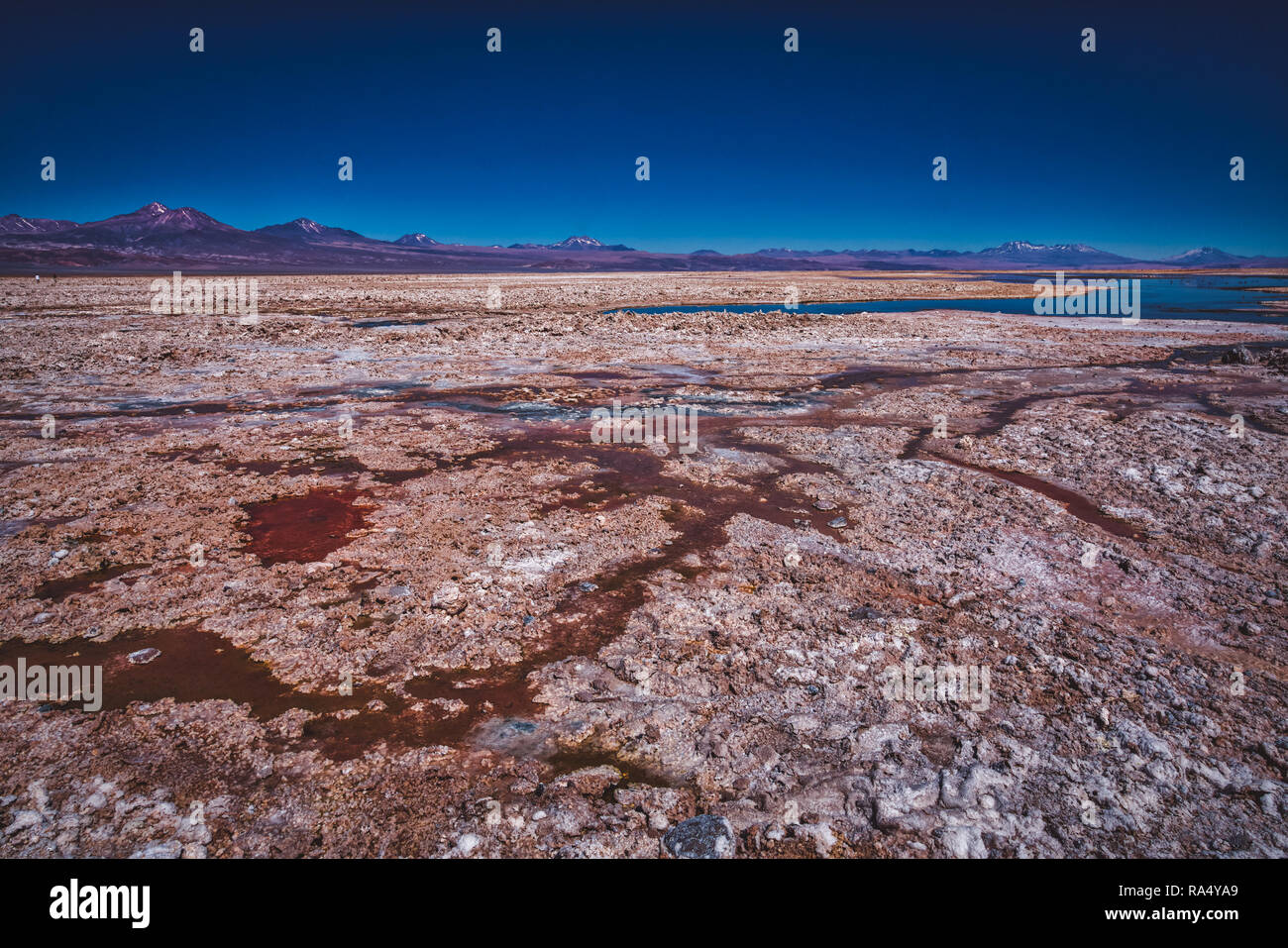 I depositi di sale da evaporazione dell acqua in zone umide del deserto di Atacama, Cile in un paesaggio panoramico Foto Stock