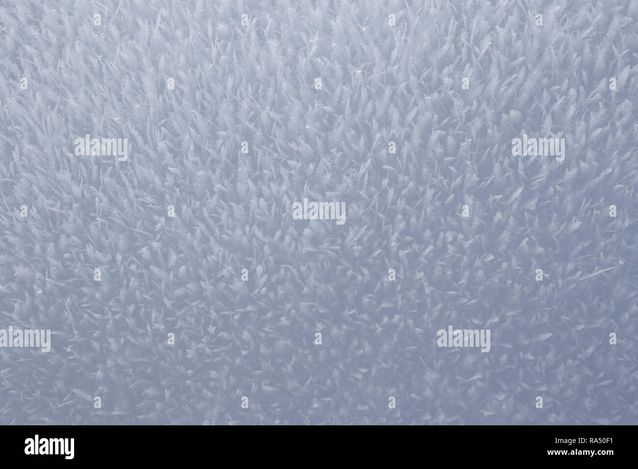 Gelo della neve di cristallo superficie di sfondo in inverno Foto Stock