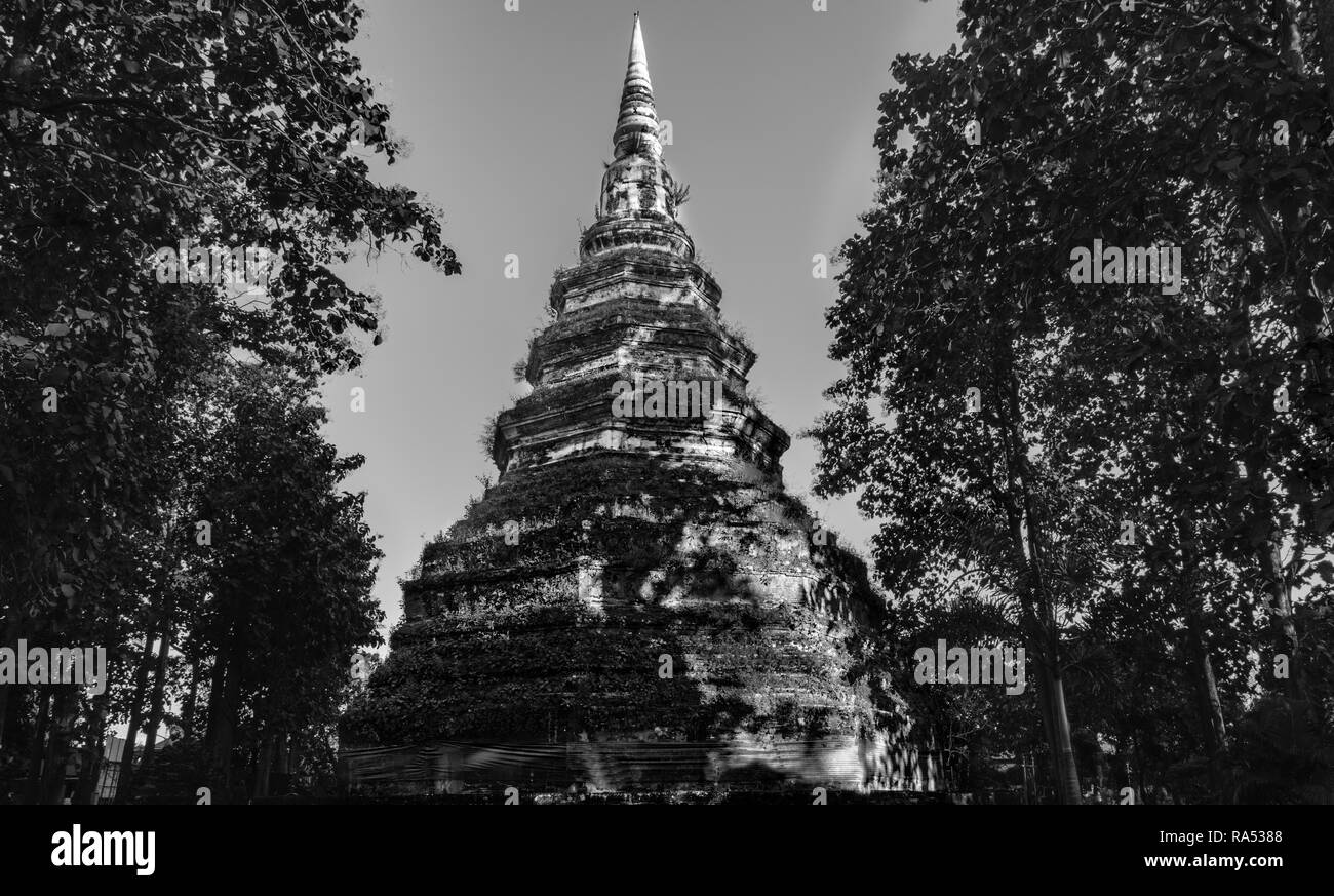 Visualizzazione versatile della Thailandia Foto Stock