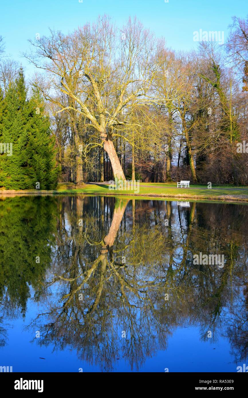 Paesaggio in un parco in Germania all'inizio della primavera, con un banco di bianco e alberi sfrondato riflettendo in un lago. Foto Stock