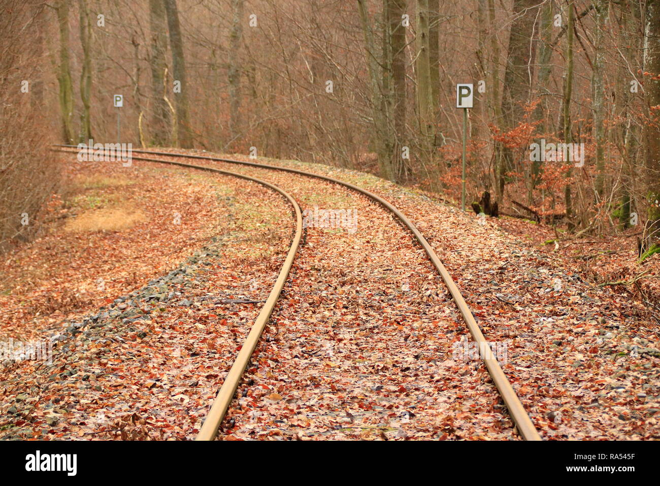 I binari ferroviari scappare dal visualizzatore in una curva. Foto Stock