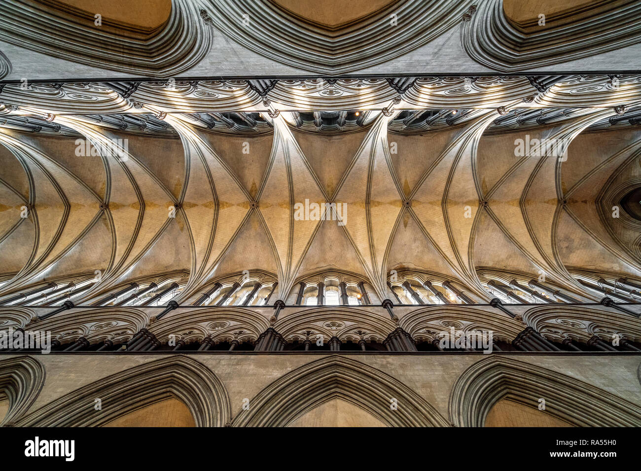 Soffitto della Cattedrale di Salisbury Foto Stock
