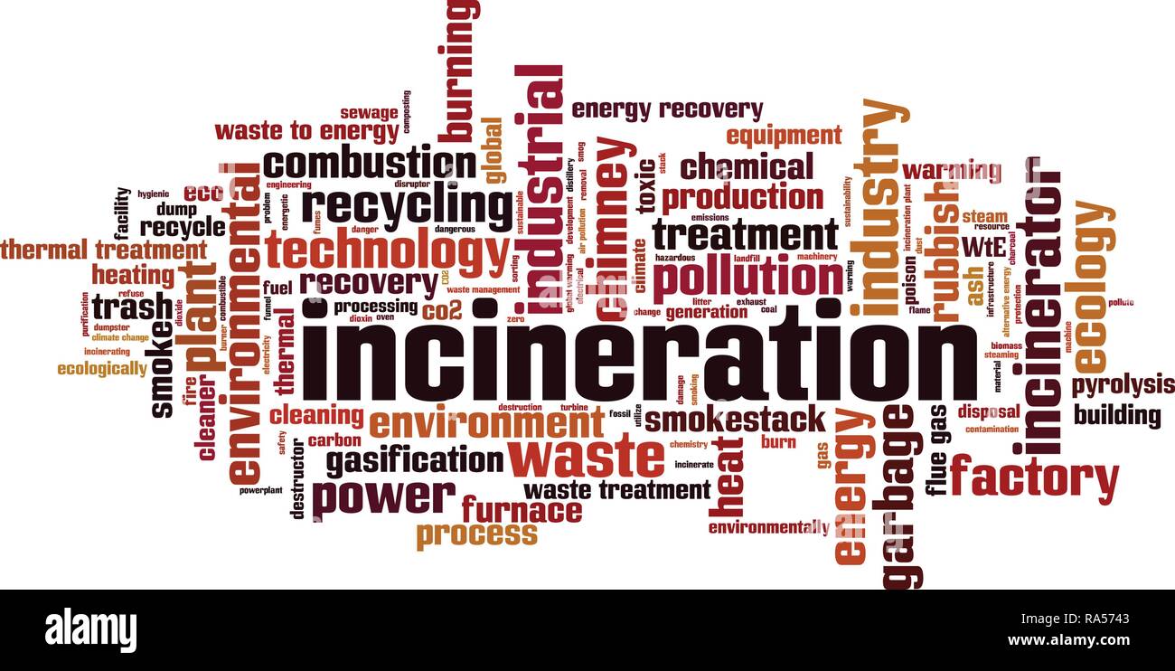 Incenerimento parola concetto di cloud computing. Illustrazione Vettoriale Illustrazione Vettoriale