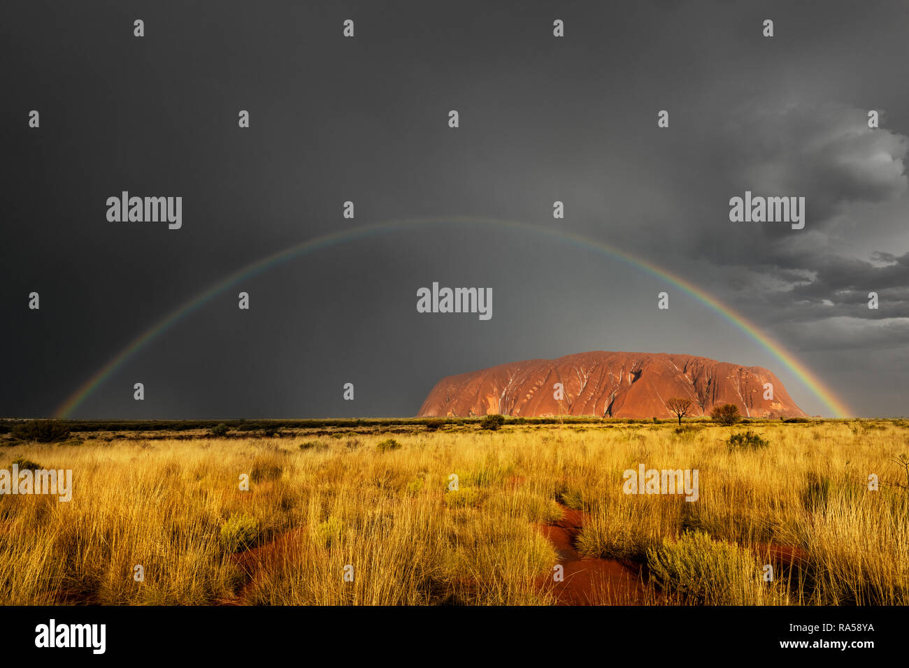 Raramente per vedere il famoso Uluru sotto la pioggia con un pieno di Rainbow. Foto Stock