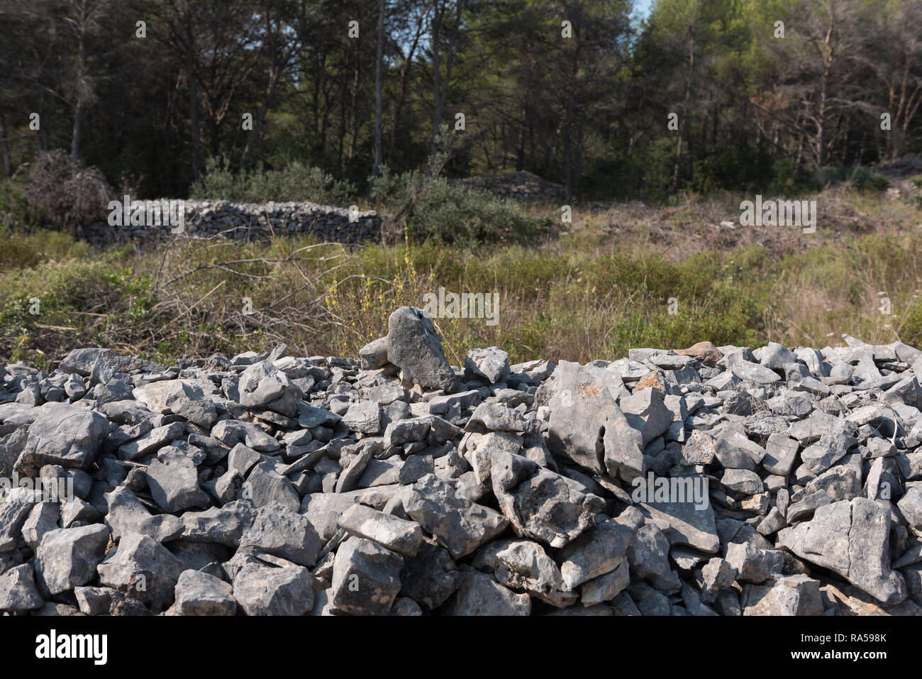 Pila di sharp pietre grigie in natura. Parte del muro a secco Foto Stock