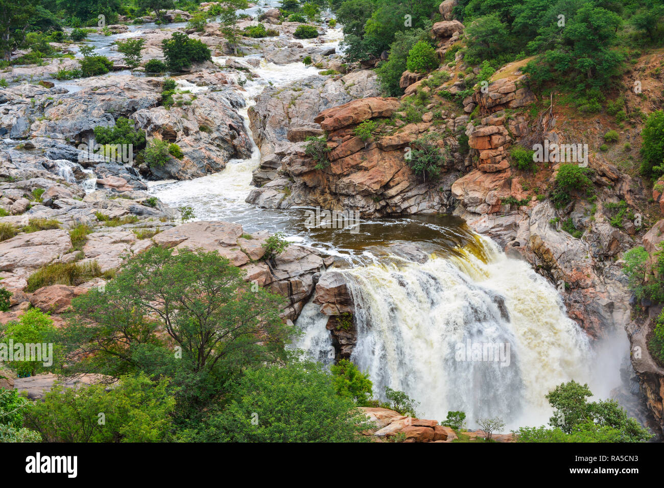 Ruscello di montagna India Foto Stock