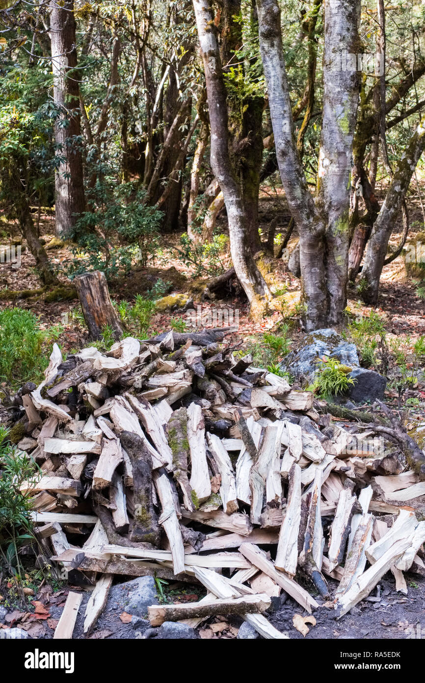 Catasta di legna da ardere spaccati nel bosco in Nepal Himalaya Foto Stock