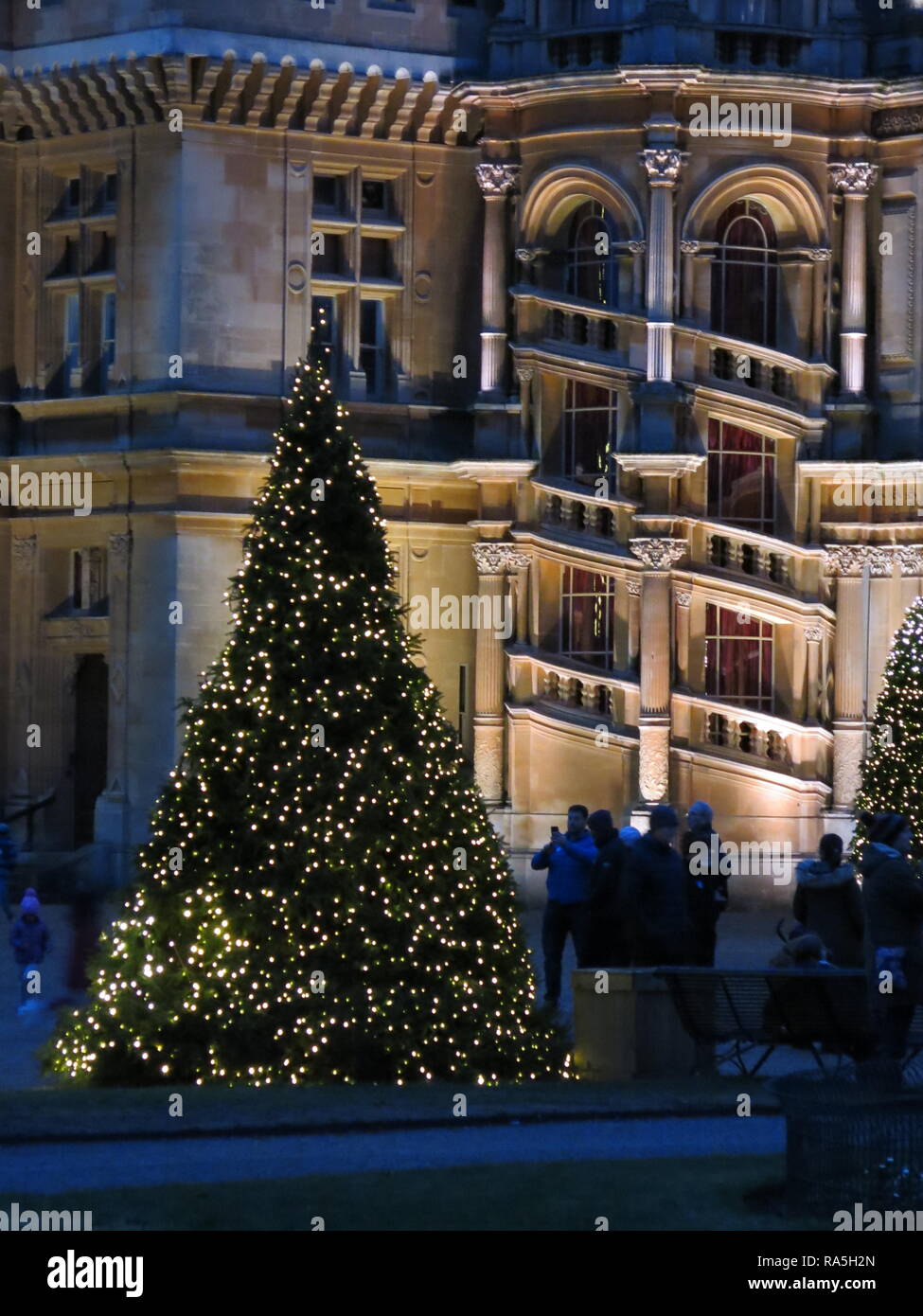 Close-up di un alto abete decorate con luci fairy in piedi di fronte alla facciata illuminata di Waddesdon Manor, Natale 2018 Foto Stock