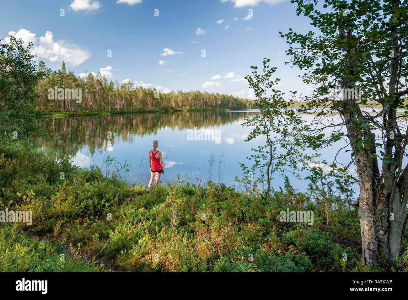 Donna di mezza età in piedi presso il lago, foresta, gli alberi che riflettono, Hossa National Park, Ruhtinansa, Suomussalmi, Kainuu, Finlandia Foto Stock