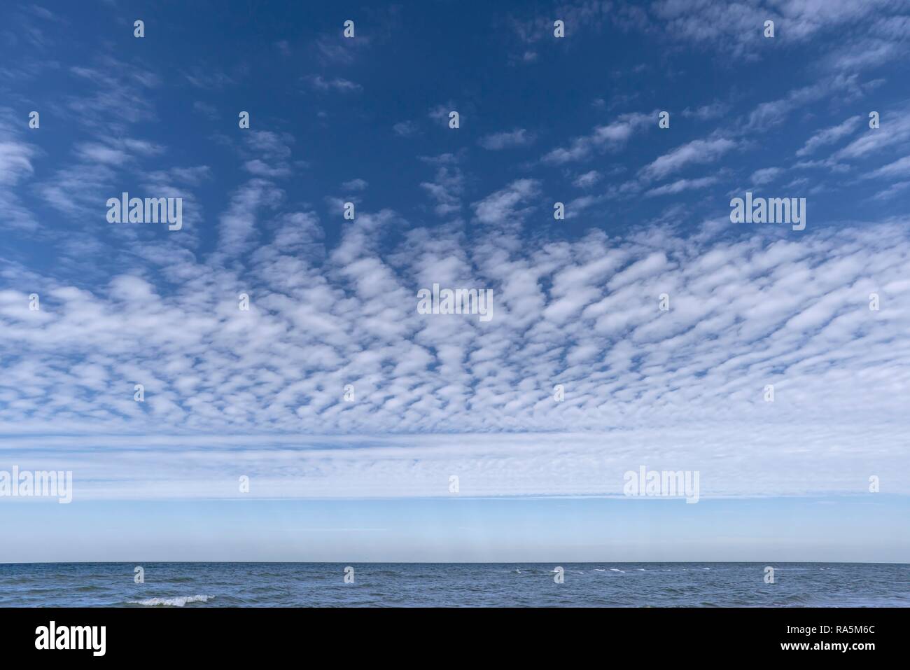 Grandi nuvole di pecora (Altocumulus) sopra il Mar Baltico, Germania Foto Stock
