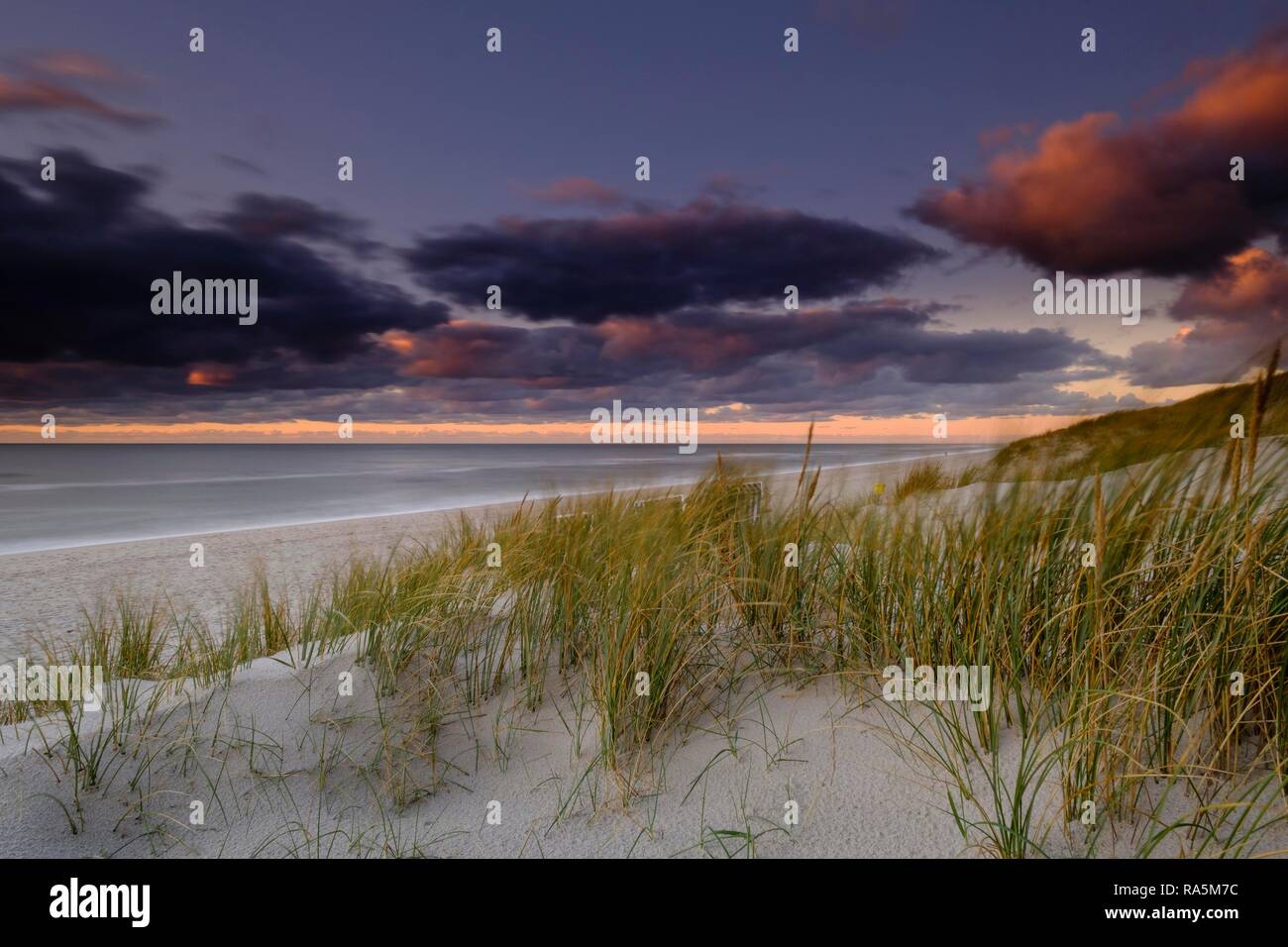 West Beach di Hörnum nella luce della sera, Sylt, Nordfriesland, Schleswig-Holstein, Germania Foto Stock