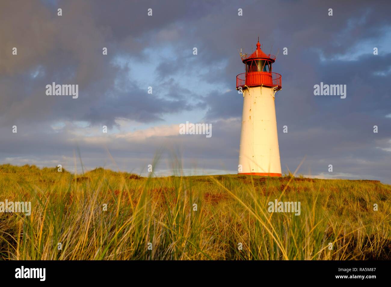 Faro List-West, parte settentrionale dell'isola conosciuta come Ellenbogen, Sylt, Frisia settentrionale, Schleswig-Holstein Foto Stock