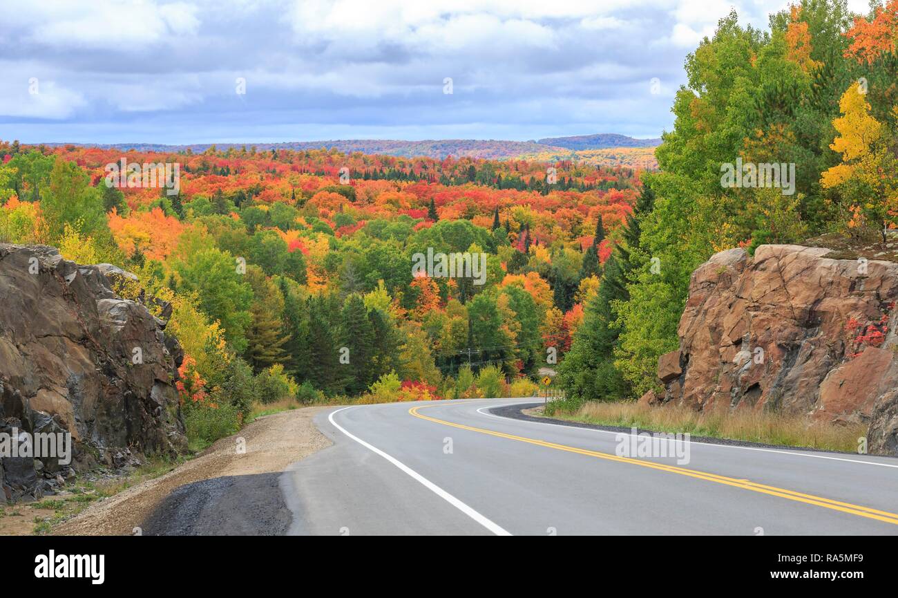 La strada attraverso la foresta autunnale, Algonquin Provincial Park, estate indiana, Ontario, Canada Foto Stock