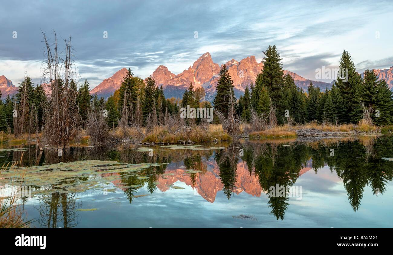 Montagne brillare rosso di sunrise, Grand Teton Range gamma di montagna con mirroring in un piccolo lago, Schwabacher sbarco Foto Stock