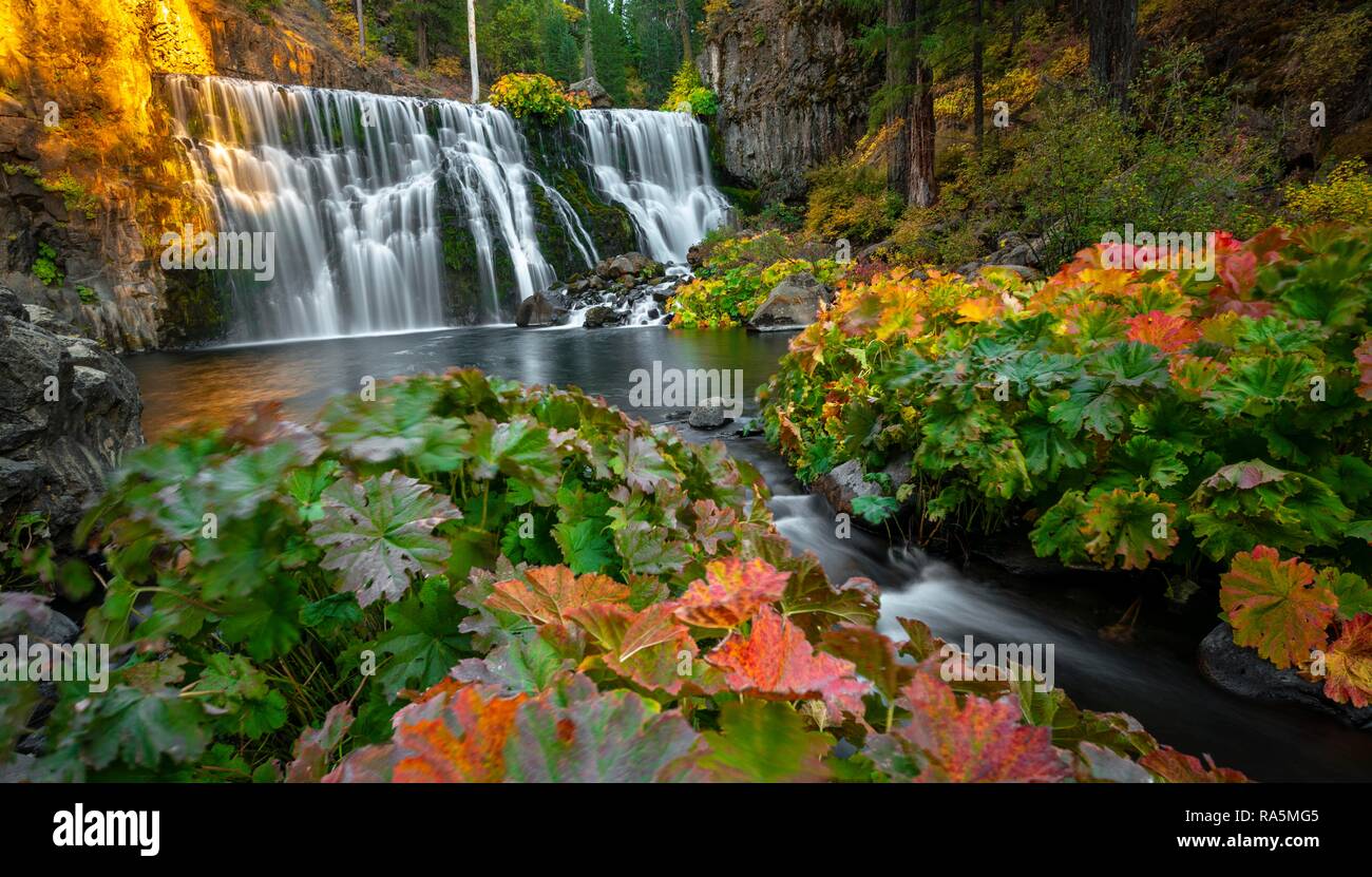 Cascata medio McCloud cade con rosso e foglie di giallo, una lunga esposizione, Shasta-Trinity National Forest, California, Stati Uniti d'America Foto Stock