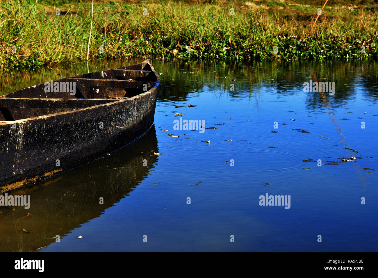 Barca in piedi presso una banca di un lago con bellissima vegetazione Foto Stock