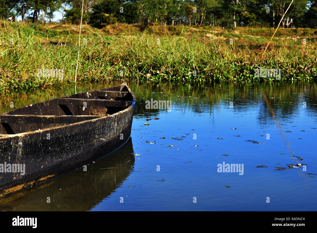 Barca in piedi presso una banca di un lago con bellissima vegetazione Foto Stock