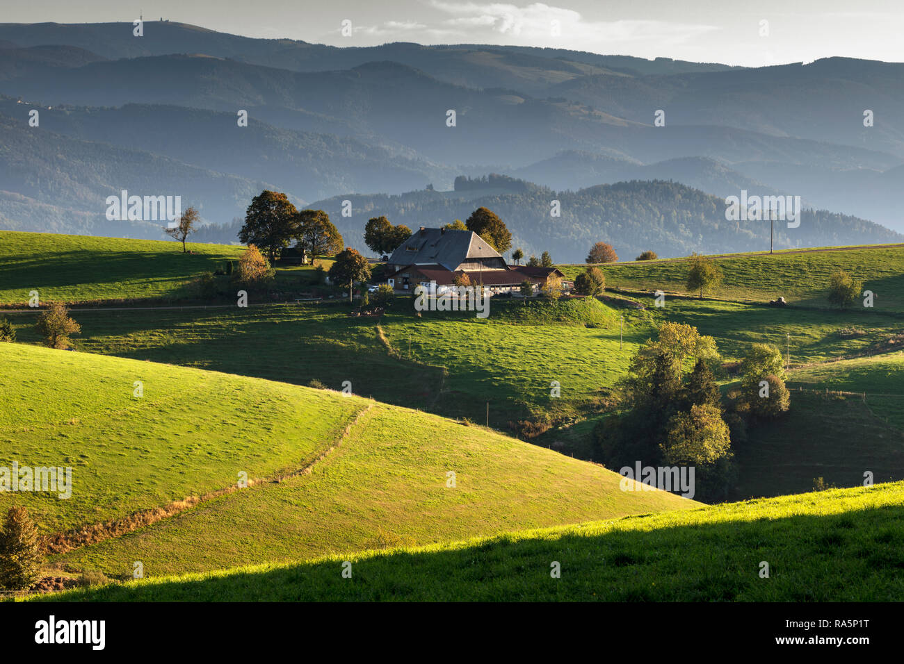 Vorderwillmenhof im Abendlicht, San Pietro, Schwarzwald, Baden-Württemberg, Deutschland Foto Stock